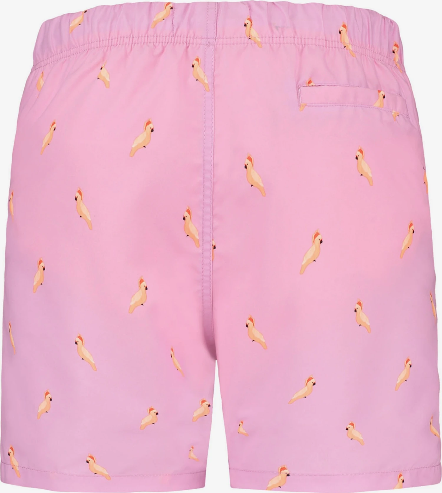 Shiwi Badetøj Badeshorts Cockatoo Mænd Lys Pink - Billede 2