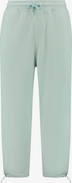 Shiwi Joggingbukser Tapered Bukser Mænd Pastelgrøn