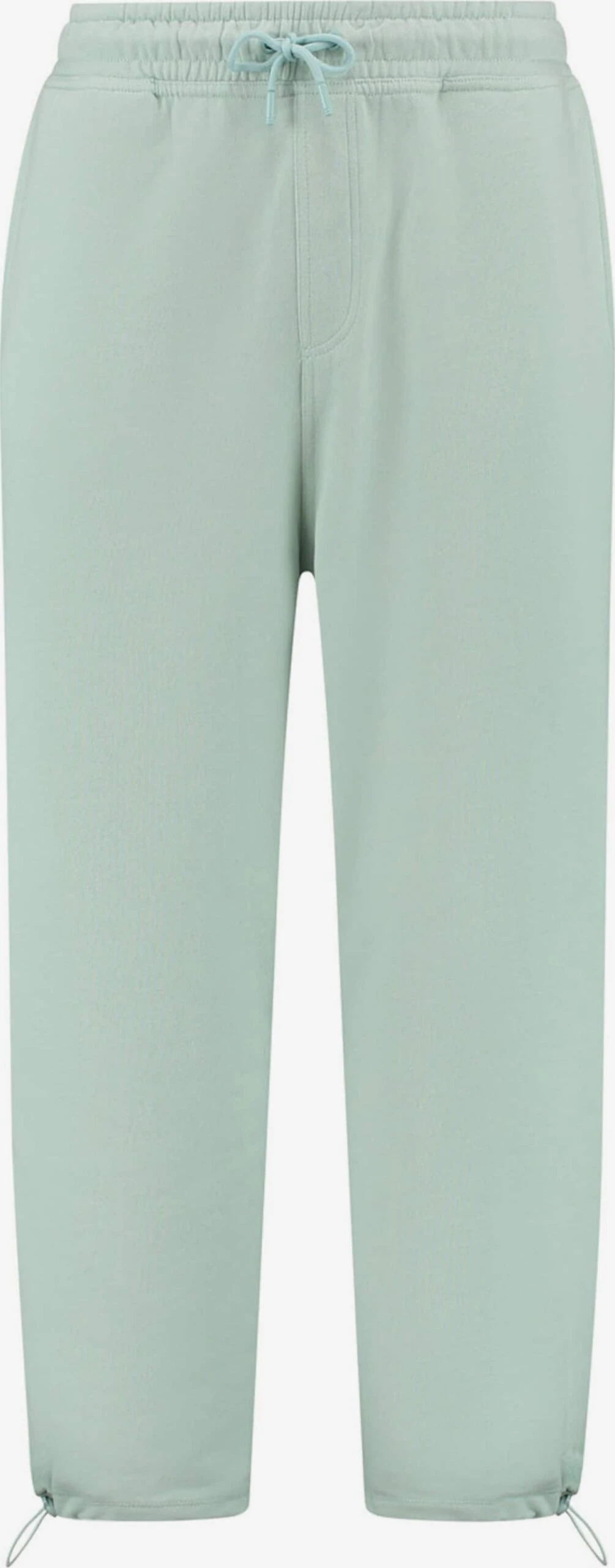 Shiwi Joggingbukser Tapered Bukser Mænd Pastelgrøn