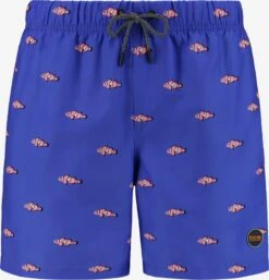 Shiwi Badetøj Badeshorts Mænd Violetblå