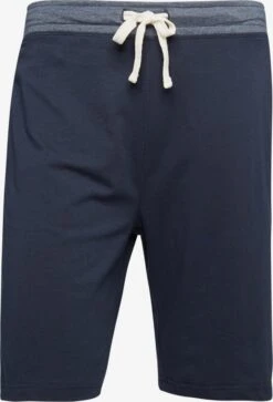 Tom Tailor Nattøj Regular Pyjamasbukser Mænd Ensian / Dueblå