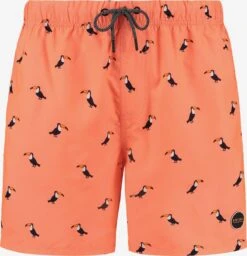 Shiwi Badetøj Badeshorts Mænd Orange / Fersken