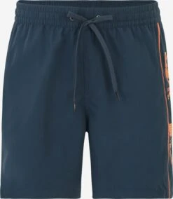 Quiksilver Badetøj Badeshorts Mænd Dueblå
