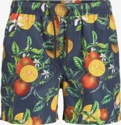 Jack & Jones Badetøj Badeshorts Crete Mænd Natblå