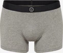Gilly Hicks Underbukser Boksershorts Mænd Grå-meleret
