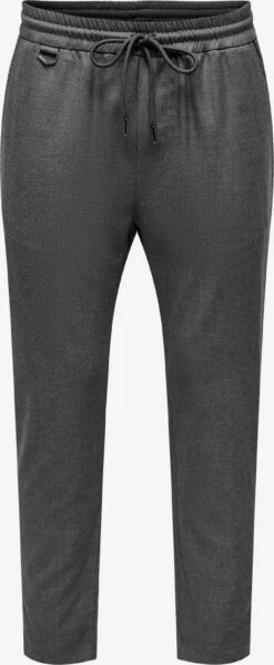 Only & Sons Joggingbukser Regular Bukser LINUS Mænd Mørkegrå