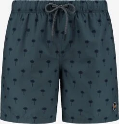 Shiwi Badetøj Badeshorts Mænd Smaragd