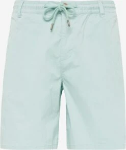 Chinoshorts Regular Lærredsbukser Mænd Pastelblå
