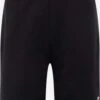 Lacoste Træningsshorts Regular Bukser Mænd Sort
