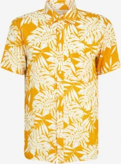 Aeropostale Casual Skjorter Regular Fit Skjorte Mænd Orange / Hvid