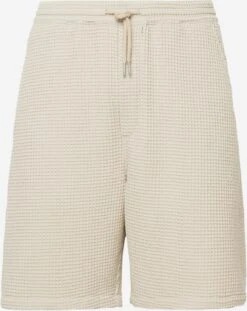 Anerkjendt Shorts Regular Bukser JAKOB Mænd Lysegrå