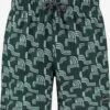 Shiwi Badetøj Badeshorts Pacific Surf 4-way Stretch Mænd Mint / Mørkegrøn