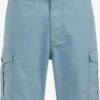 WE FASHION Cargoshorts Regular Cargobukser Mænd Lyseblå