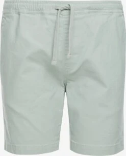 Threadbare Shorts Regular Bukser Mambo Mænd Mint